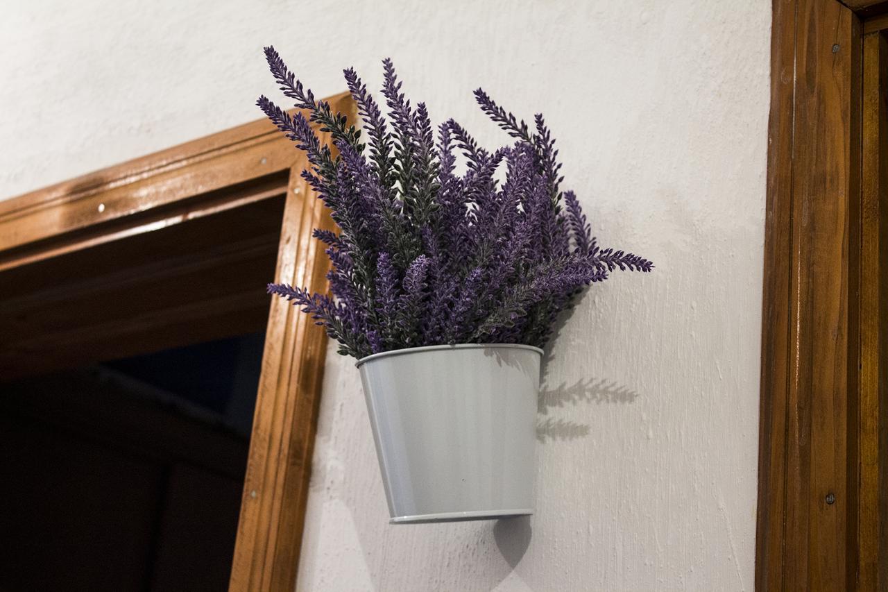Kuca Lavanda Dreznjak Exterior foto